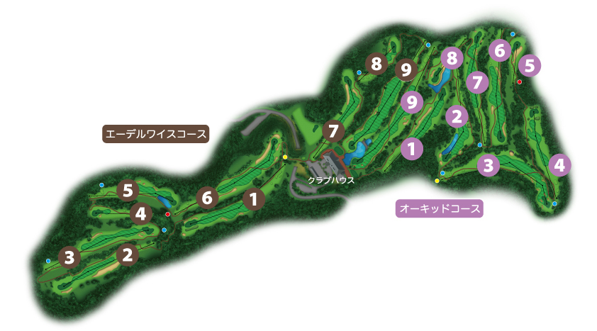 コース全体図
