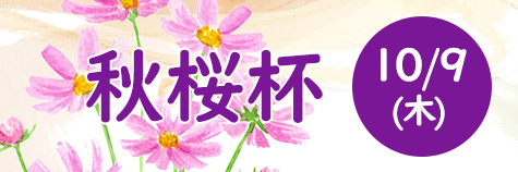 秋桜杯