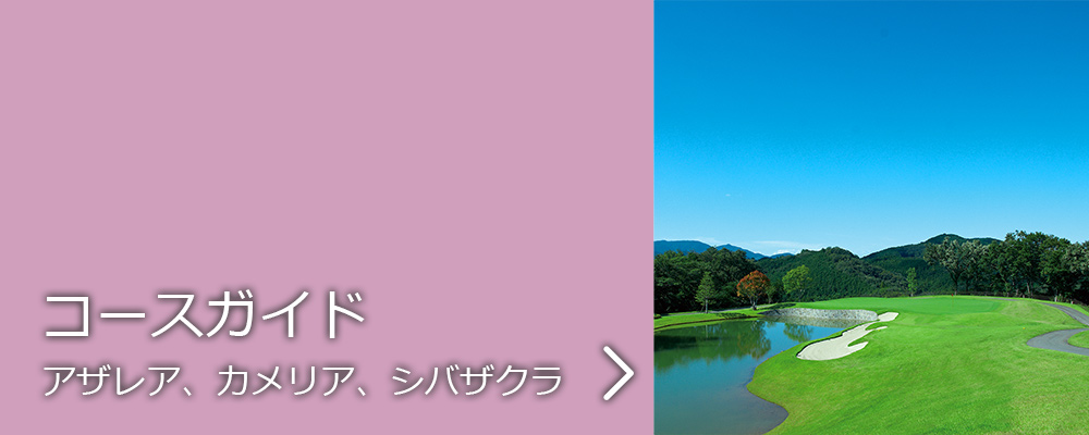 埼玉県のゴルフ場・オリムピックナショナルゴルフクラブWESTコースのコースガイド